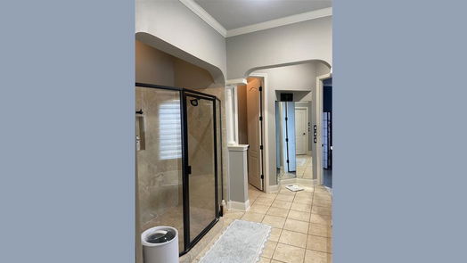 Fulshear 2-story, 5-bed 6006 Waterfall Trace Ln-idx