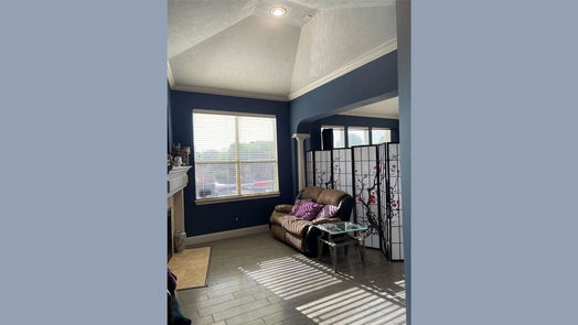 Fulshear 2-story, 5-bed 6006 Waterfall Trace Ln-idx