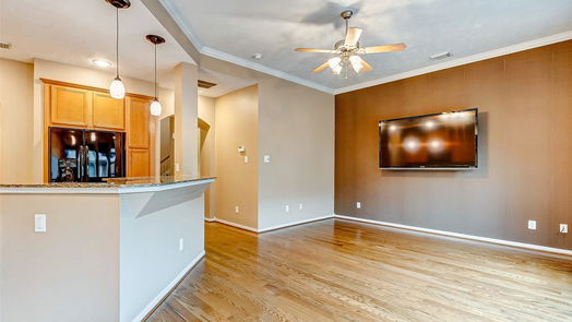 Houston 2-story, 2-bed 17735 SKYLINE ARBOR-idx