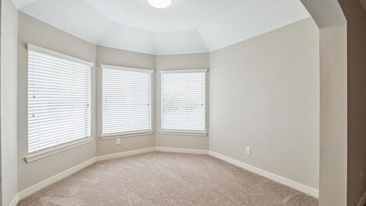 Houston 2-story, 5-bed 12118 Indigo Cove Lane-idx
