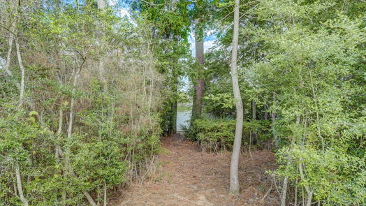 Pinehurst 1-story, 4-bed 34106 Willow Bluff Lane-idx