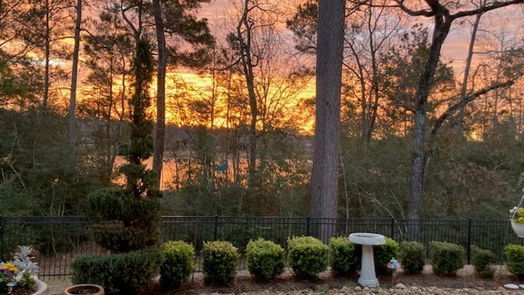 Pinehurst 1-story, 4-bed 34106 Willow Bluff Lane-idx