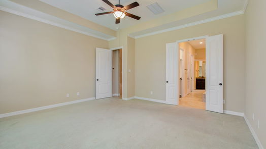 Sugar Land 2-story, 4-bed 3938 May Ridge Lane-idx