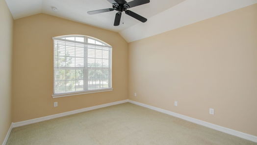 Sugar Land 2-story, 4-bed 3938 May Ridge Lane-idx