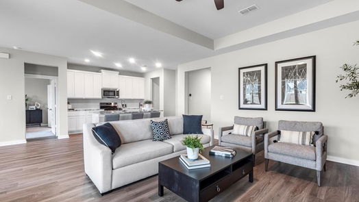 Cypress null-story, 3-bed 7414 Bristlegrass Colony Court-idx