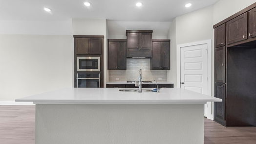 Fulshear null-story, 4-bed 29747 Burcreek-idx