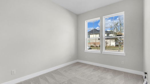 Fulshear null-story, 4-bed 29747 Burcreek-idx