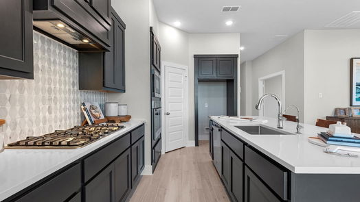 Hockley 2-story, 4-bed 26230 Aurora Sky Road-idx