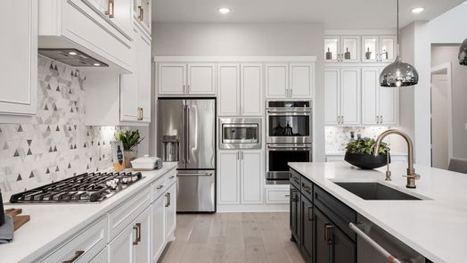 Richmond 2-story, 5-bed 2710 Berry Basket Trail-idx