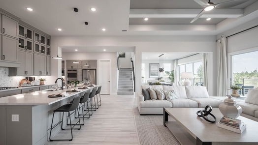 Richmond 2-story, 5-bed 207 Sage Seed Drive-idx