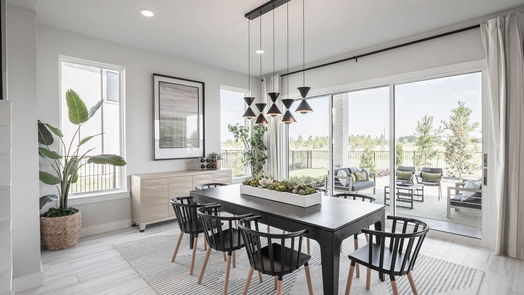 Richmond 2-story, 5-bed 207 Sage Seed Drive-idx