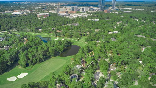 The Woodlands 2-story, 4-bed 15 Maystar Court-idx