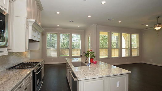 Conroe 2-story, 3-bed 221 Skybranch Court-idx