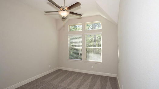 Conroe 2-story, 3-bed 221 Skybranch Court-idx