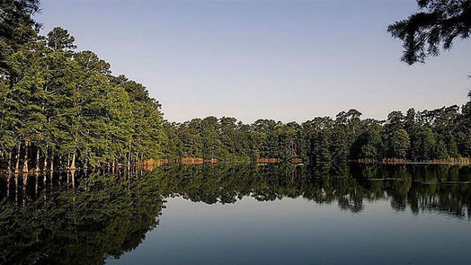 Conroe 2-story, 3-bed 221 Skybranch Court-idx