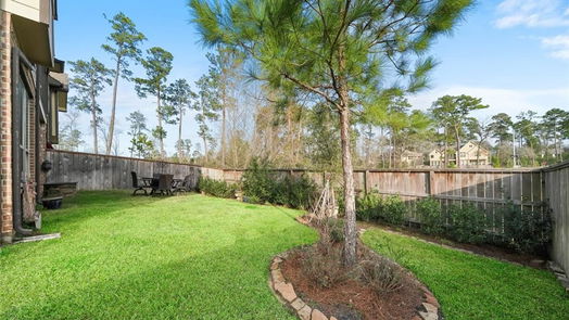 Conroe 2-story, 3-bed 102 Silver Sky Court-idx