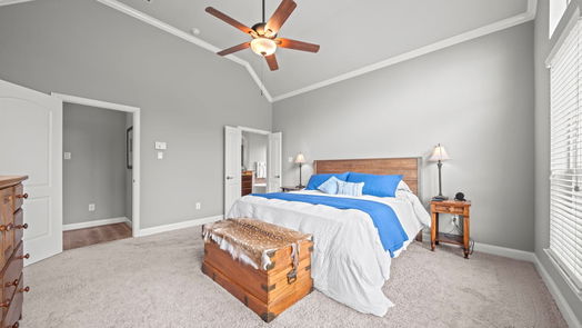 Friendswood 2-story, 4-bed 905 Cozy Hollow Court-idx