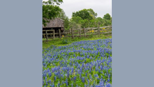 Fulshear 2-story, 4-bed 31203 Granary Hollow Drive-idx