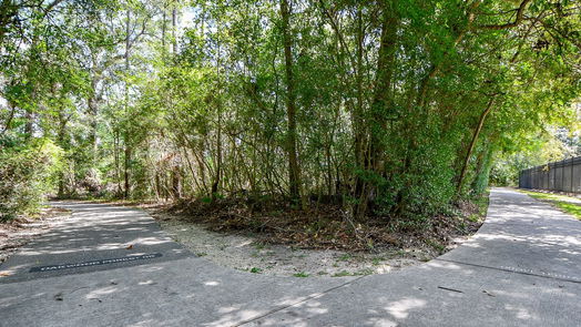 Houston 2-story, 4-bed 3310 Emerald Grove Drive-idx