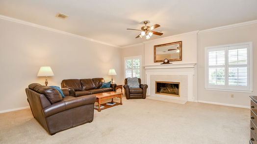 Houston 2-story, 4-bed 3310 Emerald Grove Drive-idx