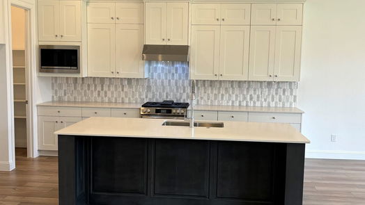 League City 1-story, 3-bed 4938 Creek Hollow Court-idx