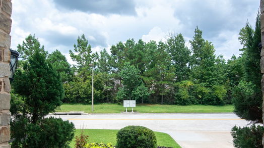 The Woodlands 2-story, 4-bed 11 Canoe Bend Drive-idx