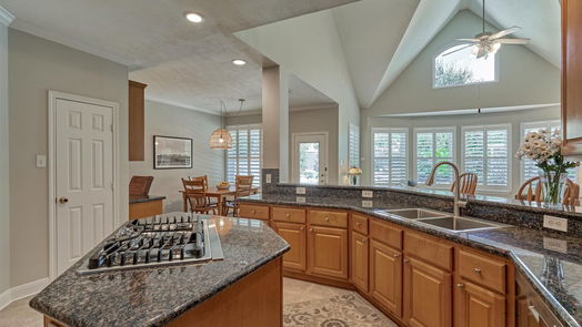 The Woodlands 2-story, 5-bed 106 S Chantsong Circle-idx