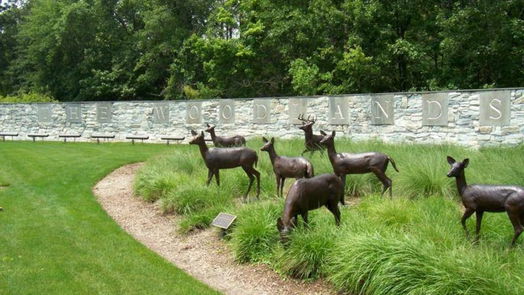 The Woodlands 2-story, 5-bed 106 S Chantsong Circle-idx