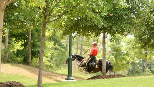 The Woodlands 2-story, 5-bed 106 S Chantsong Circle-idx