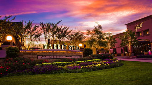 The Woodlands 2-story, 5-bed 106 S Chantsong Circle-idx