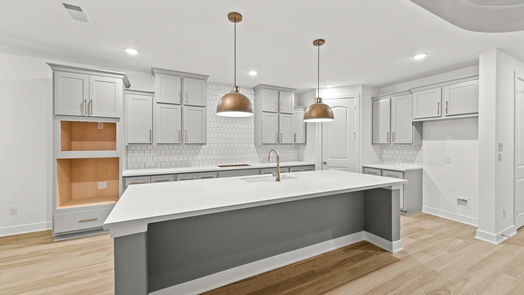 Brookshire 2-story, 4-bed 3223 Fescue Crest Court-idx