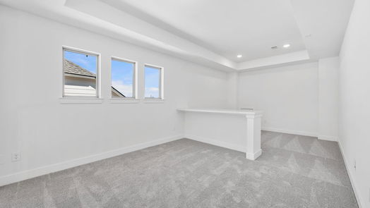 Katy 2-story, 4-bed 29451 Pearwood Drive-idx