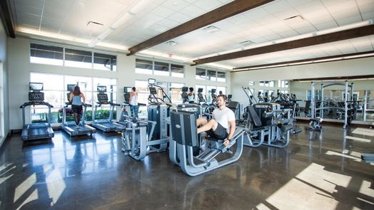 Katy 2-story, 4-bed 29410 Pearwood Drive-idx