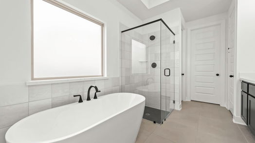 Katy 2-story, 4-bed 3184 Stingray Cove Drive-idx