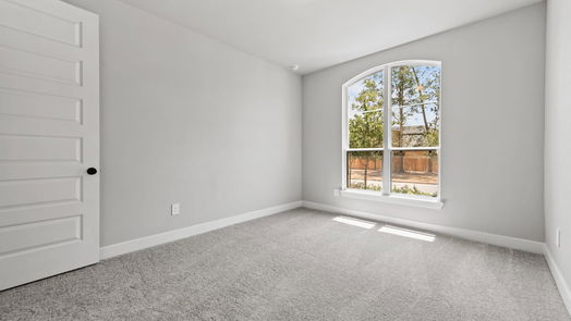 Manvel 2-story, 5-bed 4318 Golden Ridge Circle-idx