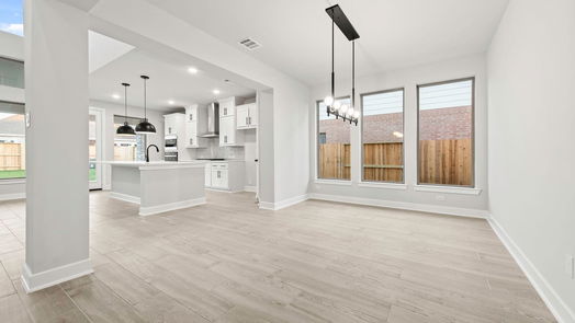 Manvel 2-story, 4-bed 5818 Silver Perch Lane-idx