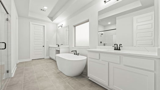 Manvel 2-story, 4-bed 5818 Silver Perch Lane-idx