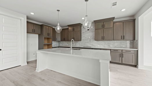 Richmond 2-story, 5-bed 10615 Lighthouse Peak Trace-idx