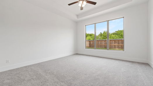 Richmond 2-story, 4-bed 2507 Fennel Bulb Leaf Lane-idx
