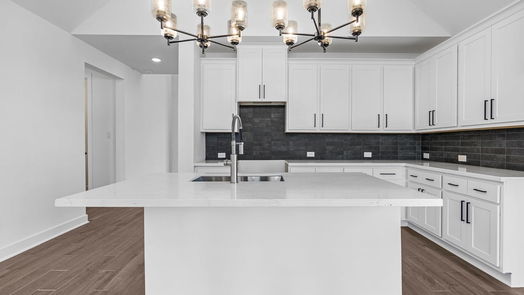 Richmond 2-story, 4-bed 25903 Horizon Star Lane-idx